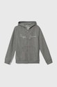 Pepe Jeans bluza bawełniana dziecięca nadruk szary PB581534