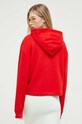Odzież Tommy Jeans bluza DW0DW16141 czerwony