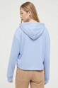 Odzież Tommy Jeans bluza DW0DW16141 niebieski
