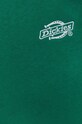 Dickies bluza DK0A4XYXF961 turkusowy