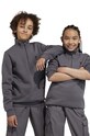 Дитяча кофта adidas Originals інші сірий IN4766