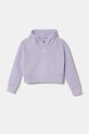 Παιδική μπλούζα Under Armour UA Rival Fleece Crop απλικέ μωβ 1379517