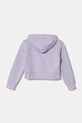 Παιδική μπλούζα Under Armour UA Rival Fleece Crop 1379517 μωβ AW24