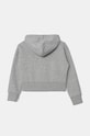 Детски суичър Under Armour UA Rival Fleece Crop 1379517 сив AW24