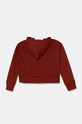 Under Armour bluza dziecięca UA Rival Fleece Crop 1379517 bordowy AW24