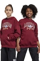Detská mikina adidas Originals s kapucňou burgundské IJ0751