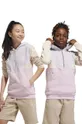 сірий Дитяча кофта adidas Originals Дитячий
