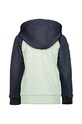 Chlapec Detská mikina Didriksons CORIN KIDS FULLZIP 505003 zelená