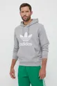 сірий Бавовняна кофта adidas Originals Чоловічий