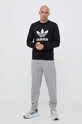 Хлопковая кофта adidas Originals IM4500 чёрный AW23