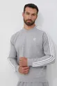 sivá Mikina adidas Originals Pánsky