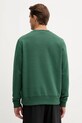 Odzież Dickies bluza DK0A4XCEF901 zielony