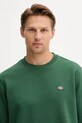 Dickies bluza zielony DK0A4XCEF901