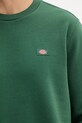 Dickies bluza DK0A4XCEF901 zielony