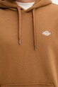 Dickies bluza DK0A4Y6PBLK1 brązowy