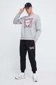 Кофта Reebok Classic Basketball 100068519 сірий AW23