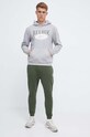 Кофта Reebok Classic 100036875 серый AW23
