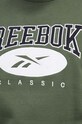 Кофта Reebok Classic 100036879 зелёный