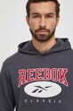 Кофта Reebok Classic сірий 100036768