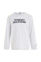 Tommy Hilfiger longsleeve bawełniany dziecięcy KB0KB08554.128.176.9BYX szary AW23