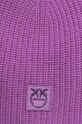 Accessori Pinko cappelo in cashemire 101501.A0ZX violetto