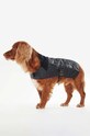 Παλτό σκύλου Barbour DCO0004 μαύρο AA00
