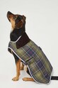 Barbour kisállat kabát zöld DCO0012