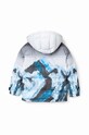 Момче Детско яке Desigual 23WBEW04 кафяв
