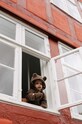 Комбинезон для младенцев Konges Sløjd KS5419 коричневый