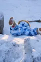 Παιδικές χειμερινές φόρμες Reima Lappi
