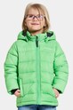 Дитяча зимова куртка Didriksons RODI KIDS JACKET з утепленням зелений 504983