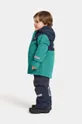 πράσινο Παιδικές χειμερινές φόρμες Didriksons SKARE KIDS SET
