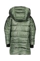 Хлопчик Дитяча куртка Didriksons TAJGAN KD PUFF PARKA 504902 зелений