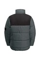 Chłopiec Jack Wolfskin kurtka dziecięca TEEN INS 1610191 zielony