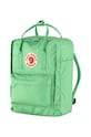 Fjallraven backpack Kanken F23510.663 green AW23