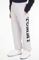 серый Детские спортивные штаны Tommy Hilfiger Для мальчиков