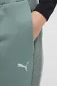 zelená Tréningové nohavice Puma Evostripe