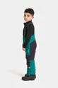 πράσινο Παιδικό παντελόνι σκι Didriksons IDRE KIDS PANTS