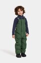 Детские лыжные штаны Didriksons TARFALA KIDS PANTS зелёный 504974