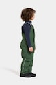 Детские лыжные штаны Didriksons TARFALA KIDS PANTS 504974