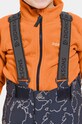 Дитячі штани для зимових видів спорту Didriksons IDRE KDS PNT SPEC ED 504358