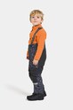 Дитячі штани для зимових видів спорту Didriksons IDRE KDS PNT SPEC ED 504358