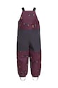 Дитячі штани для зимових видів спорту Jack Wolfskin GLEEL 2L INS PRINT BIB 1610451 бордо AW23