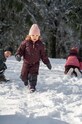 Дитячі штани для зимових видів спорту Jack Wolfskin GLEEL 2L INS PRINT BIB 1610451 бордо