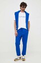 Tepláky Tommy Hilfiger MW0MW32059 modrá AW23
