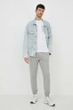 Спортивные штаны Gant 2009026 серый SS25