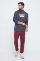 Спортивні штани Reebok Classic 100070861 бордо AW23
