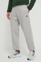 серый Спортивные штаны Reebok Мужской