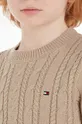 Otroški pulover Tommy Hilfiger Fantovski