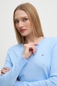 Svetr Tommy Hilfiger modrá WW0WW40098